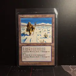 Vintage MTG Magic The Gathering - Adarkar Wastes - Ice Age - Land - Image 1