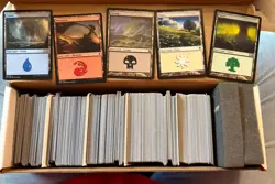 Magic the Gathering Basic Lands Lot 60-80 Cards of Each Land - Image 2
