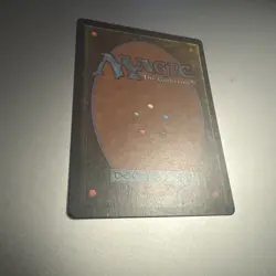 Magic Gathering MTG Arabian Nights Giant Tortoise Dark English Near mint - Image 3