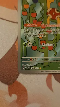 Shuckle 136/132 - ME01: Mega Evolution Pokemon Illustration Rare Holo NM - Image 3