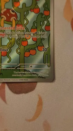 Shuckle 136/132 - ME01: Mega Evolution Pokemon Illustration Rare Holo NM - Image 4