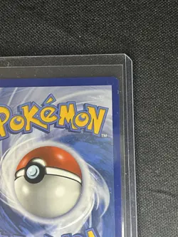 Pokemon Iron Leaves EX Gold Secret Rare Card 213/162 Temporal Forces NM - Image 4