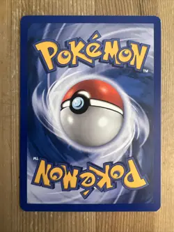 Wingull - 84/100 - Common LP, English Pokemon EX Sandstorm - Image 2