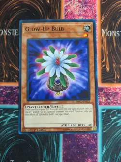 Yu-Gi-Oh! Glow-Up Bulb SDCL-EN021 1st Edition Common NM a1/ - Image 1