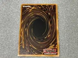YU-GI-OH! Red-Eyes Darkness Metal Dragon SR02-EN009 1st Edition Card NM FREE SH - Image 2