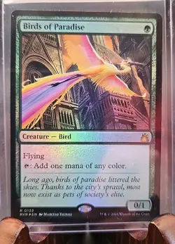 Birds of Paradise Ravnica Remastered MTG Foil Near Mint - Image 3