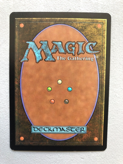 Mtg Carte Magic Unhinged Persecute Artist English NM - Image 2