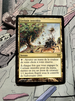 Forbidden Orchard | Excellent | French | Kamigawa #276 | 2004 MTG | Commander - Image 1