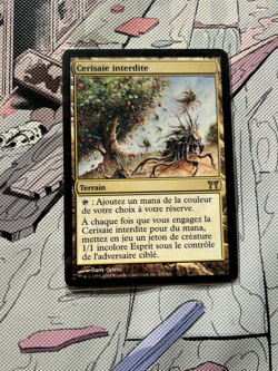 Forbidden Orchard | Excellent | French | Kamigawa #276 | 2004 MTG | Commander - Image 2