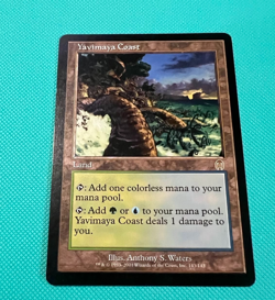Yavimaya Coast - Apocalypse -MTG - Magic the Gathering - Image 1