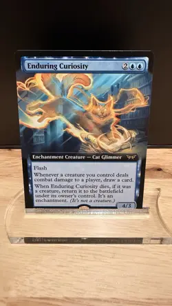 Enduring Curiosity (Extended Art) Duskmourn: House of Horror Regular - Image 1