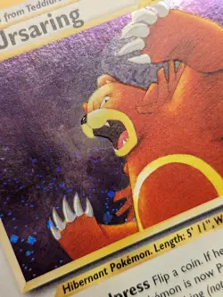 2001 Ursaring Holofoil Rare Neo Discovery 15/75 Wotc Vtg Bear LP+ - Image 3