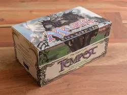 EMPTY Tempest Starter Deck Box (all 12 boxes) - Magic The Gathering MTG Vintage - Image 1