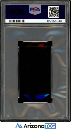 Pokemon 2013 Beedrill/Weedle Kanto-September Pokemon Hanafuda GEM MINT PSA 10 - Image 2