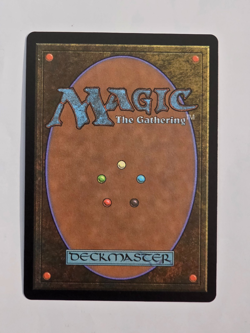 Choco, Seeker of Paradise (Borderless) (Chocobo Track Foil) Final Fantasy MTG NM - Image 2