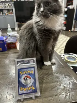 2019 POKEMON SM BLACK STAR PROMO #SM168 FULL ART/PIKACHU & ZEKROM GX PSA 10 - Image 3