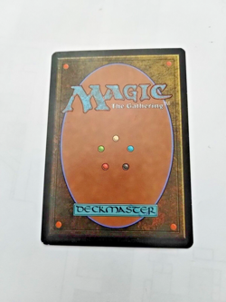 MTG Wirewood Symbiote Scourge Regular Uncommon - Some Edge Wear - See Pics - Image 3