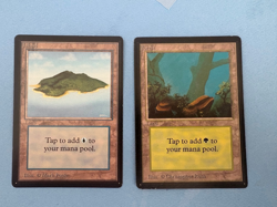 MTG Beta Land Lot, Island and Forest! 1993 Vintage Magic! - Image 1