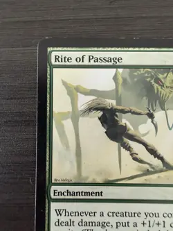 Rite of Passage Fifth Dawn Regular MTG - Image 2