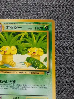 Exeggutor Japanese Southern Islands Pokemon card old back US seller - Image 5