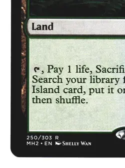 Magic The Gathering MTG Modern Horizons 2 MH2 2021 #250 Misty Rainforest NM x1 - Image 4