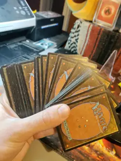 Magic The Gathering Vintage Land Bundle Lot - Image 4