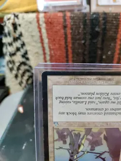 Magic The Gathering Entangler #7 Prophecy Regular - Image 4