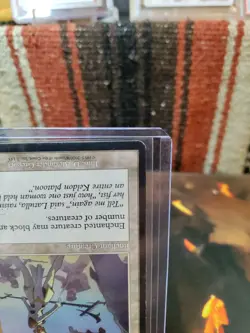 Magic The Gathering Entangler #7 Prophecy Regular - Image 5