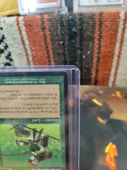 Magic The Gathering Elvish Champion #186 Invasion Regular - Image 5