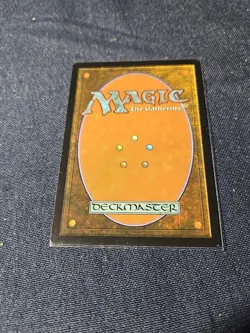 MTG Fierce Guardianship Secret Lair Drop Regular - Image 2