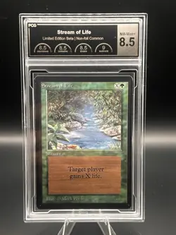 Stream of Life Limited Edition - Beta Edition Regular PCG 8.5 - Image 1