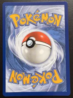 Mega Venusaur ex 013 Black Star Promo Pokemon TCG NM - Image 4