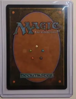 MTG Abandoned Air Temple Normal NM Avatar: The Last Airbender Magic 263 - Image 3