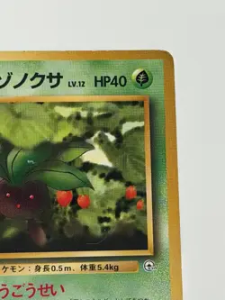 Erika's Oddish No.043 vintage Tamamushi CityGym Japanese Pokemon Card From Japan - Image 3