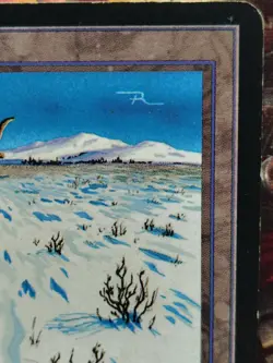 MTG Ice Age #326 Adarkar Wastes HP (Edge Wear) - Image 3