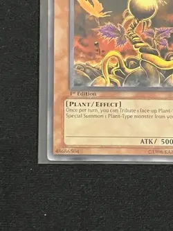 Lonefire Blossom 1st Edition PTDN-EN088 YuGiOh Phantom Darkness - Image 5