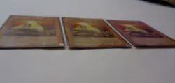 Playset: 3x Pyramid Turtle PGD-026 (Rare, Unlimited, Lightly Played / LP) Yugioh - Image 2