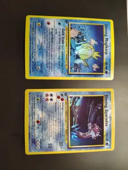 Shining Gyarados And Magikarp 1st Edition Neo Revalation Custom Cards - Image 1