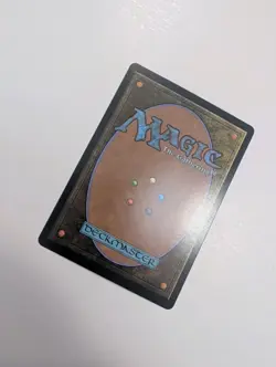 MTG - Forest 0193 - Marvel's Spider-Man NM/M Condition - Image 3