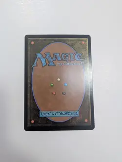 MTG - Forest 0193 - Marvel's Spider-Man NM/M Condition - Image 4