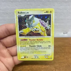 Raikou HOLO BLEED 16/132 - 2007 Pokemon Diamond & Pearl - Secret Wonders LP - Image 1