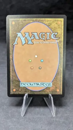 Forest (248) Full Art - MTG Magic the Gathering -Zendikar- Misprint NM - Image 2
