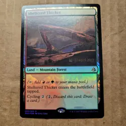 Sheltered Thicket - FOIL - Prerelease Promo LP, English MTG Magic Amonkhet - Image 1