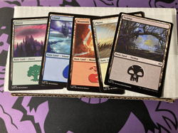 500 Basic Lands Magic The Gathering Lands - 100 Of Each Land - Image 1