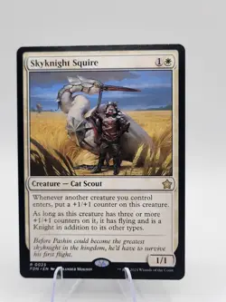 Skyknight Squire Foundations Regular - Image 1