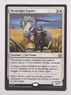 Skyknight Squire Foundations Regular - Image 1