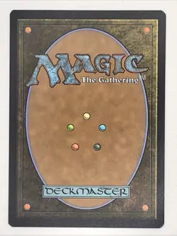 Skyknight Squire Foundations Regular - Image 2