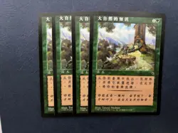 MTG 4X SIMPLIFIED CHINESE PORTAL NATURE'S LORE NM MAGIC THE GATHERING GREEN - Image 2