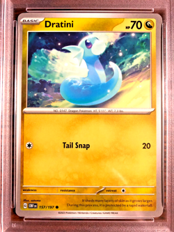 Dratini Regular Common #157 - PSA NM-MT 8 - 2023 Obsidian Flames - Pokemon TCG - Image 2