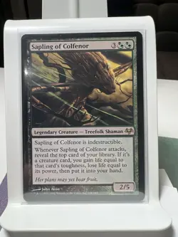 MTG magic cards 1x Sapling of Colfenor Eventide NM-Mint, English - Image 1